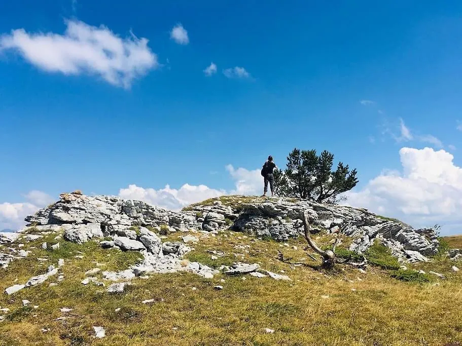 L'Etable Du Vercors Saint-Agnan-en-Vercors